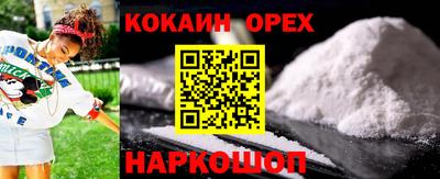 бошки Кингисепп
