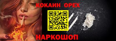 бошки Кингисепп