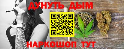 бошки Кингисепп