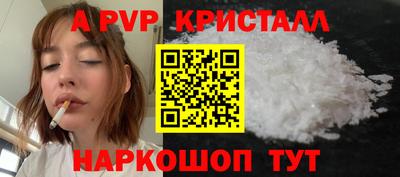бошки Кингисепп