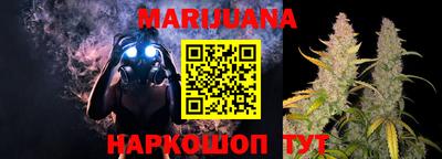 бошки Кингисепп