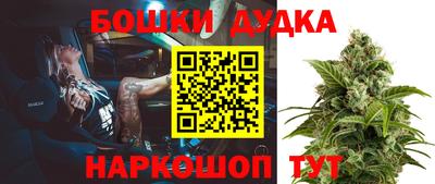 бошки Кингисепп